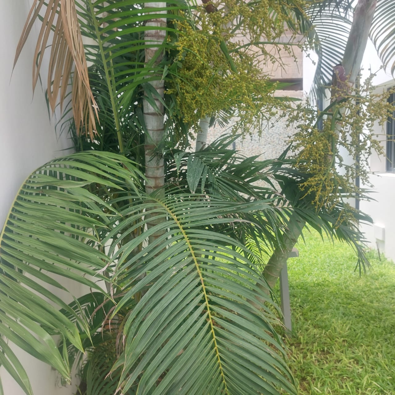 Villa 5 chambres avec piscine